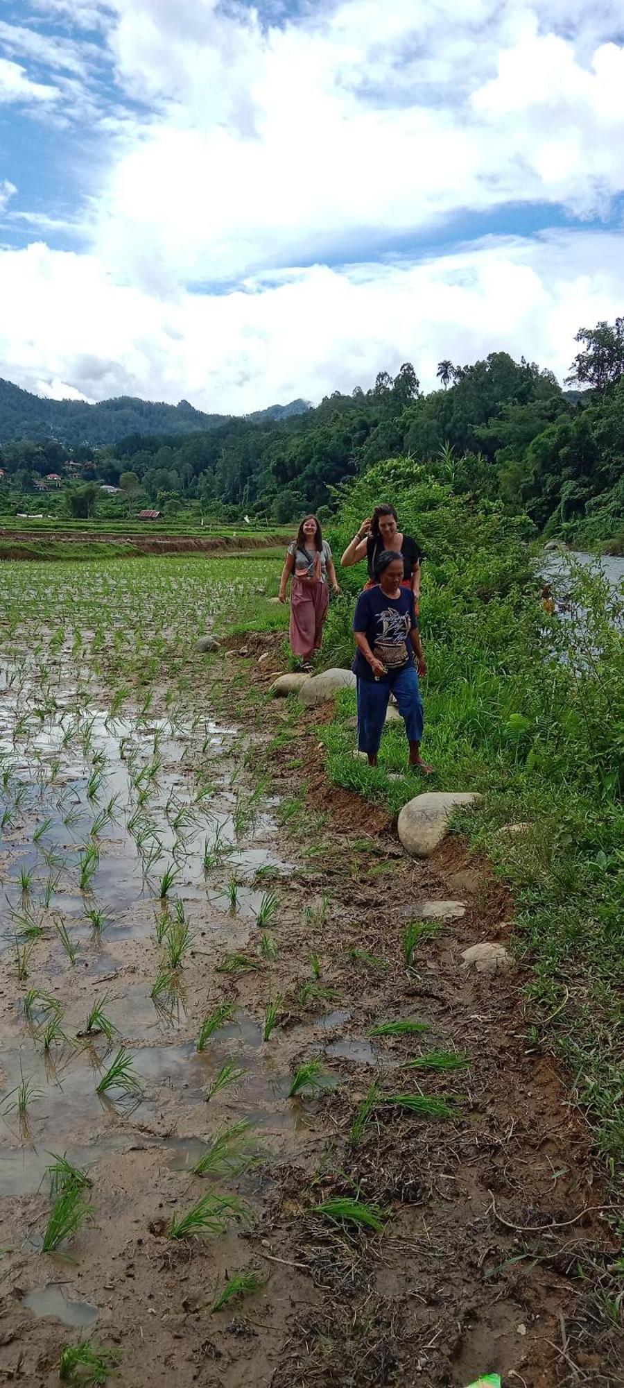 Toraja Sanggalangi Homestay Rantepao Extérieur photo